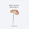 Broken Bones by Saba Wolfe Paperback Book 9781715406356
