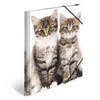 Herma Elasticated PP Folder A4 Animals (Cats)