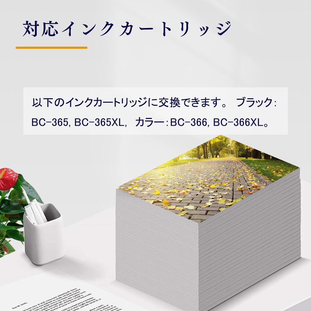 Совместимые чернильные картриджи LAIPENG для Canon x Всего Совместимые с PIXUS TS3530 Включает замену Canon 365XL Пигментный черный и 366XL Цветной