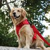 Adjustable Breathable Lightweight Dog Harness Chest Strap Outdoor Walk Training Harness for Small to Medium Dogs Pet Supplies