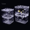 Acrylic Transparent Double Layer Aquarium Fish Breeding Isolation Box Incubator