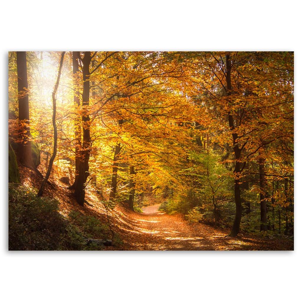 Canvas print, Forest Autumn landscape
