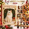 24-Day Advent Calendar 2026 Acrylic 2D Flat Animals Mini Figurines  Home Festive Display