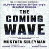 The Coming Wave Paperback