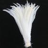 Top Quality 50 Pcs Pure White Rooster Tail Feather 30-35Cm 12-14Inch Natural Feathers Wedding Decoration Clothing Accessories