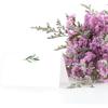 UrbanMingle 25 Elegant Greenery Tent Table Place Cards for Wedding Thanksgiving