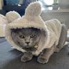 Зимняя теплая толстовка для кошек, милые уютные наряды для питомцев, одежда для домашних животных с кроличьими ушками для маленьких и средних собак, кошек, щенков, котят, мягкое пальто для сфинкса