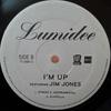 12-дюймовая пластинка LUMIDEE, PITBULL - Crazy TV2905 TVT Records 2007 США Танцевальная и электронная музыка Б/у