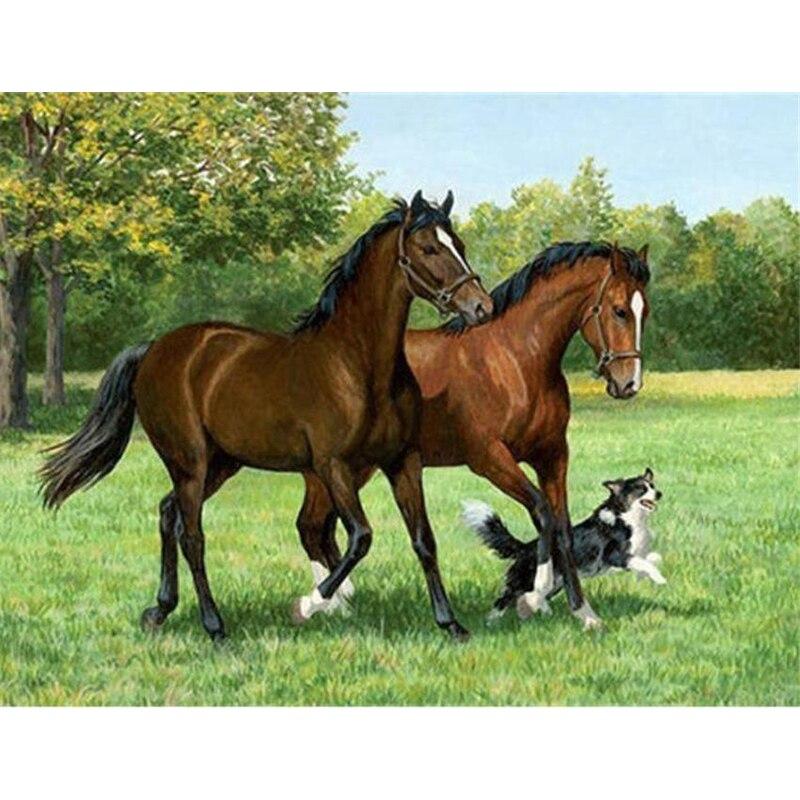 DIY 5D алмазная живопись Животные вышивка крестиком Лошадь Алмазная вышивка полная круглая дрель Стразы Мозаика подарок домашний декор