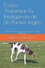 Книга Como Aumentar La Inteligencia De Un Pointer Ingles : Un Perro Pointer Ingles Mas Inteligente Es Mas Obediente