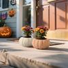 2025 Хэллоуин Украшения Тыквы Сценическая Композиция Цветочные Горшки Садовое Украшение Natura Праздничные Реквизиты Для Дома с Привидениями
