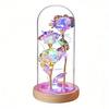 Forever Preserved Rose Gift for Women Wife Mom Colorful Light Up Rose in A