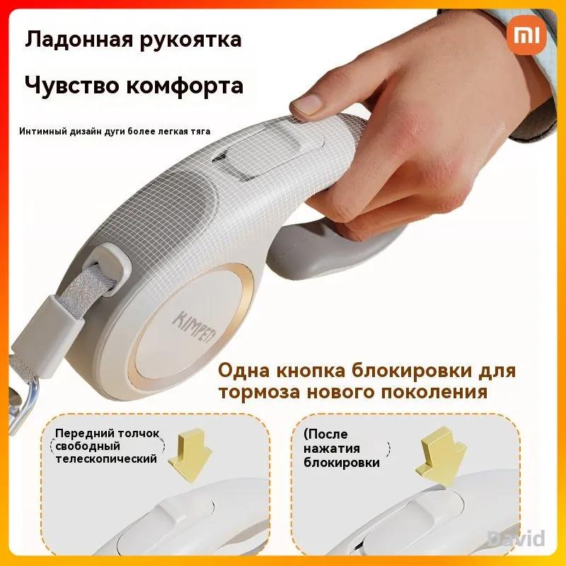 Локомотив