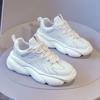 Daddy Shoes New Autumn Breathable Sports Casual Shoes All-Matching Spring and Autumn Thick Bottom Height Increasing Women Shoes Ins Fashion