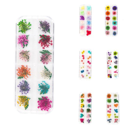 1 коробка, 10 г, сушеные цветы для украшения ногтей, 12 цветов, натуральные цветочные смешанные сухие цветы, сделай сам, ювелирные изделия, подвески, маникюрный декор, УФ-гель-лак, принадлежности для дизайна ногтей