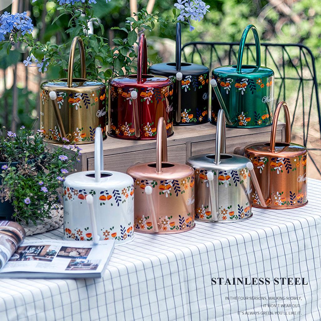 Лейка 1,3 л из нержавеющей стали с длинным носиком для комнатных и садовых растений