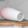 Gradient Pink Ceramic Vase Hydroponics Potted Plant Table Decoration Flowers Arrangement Floral Vases Room Aesthetic Decor