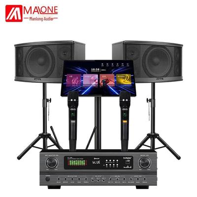 Malone KT-330 Профессиональная домашняя аудиосистема KTV Штепсель CN (адаптер в комплекте)