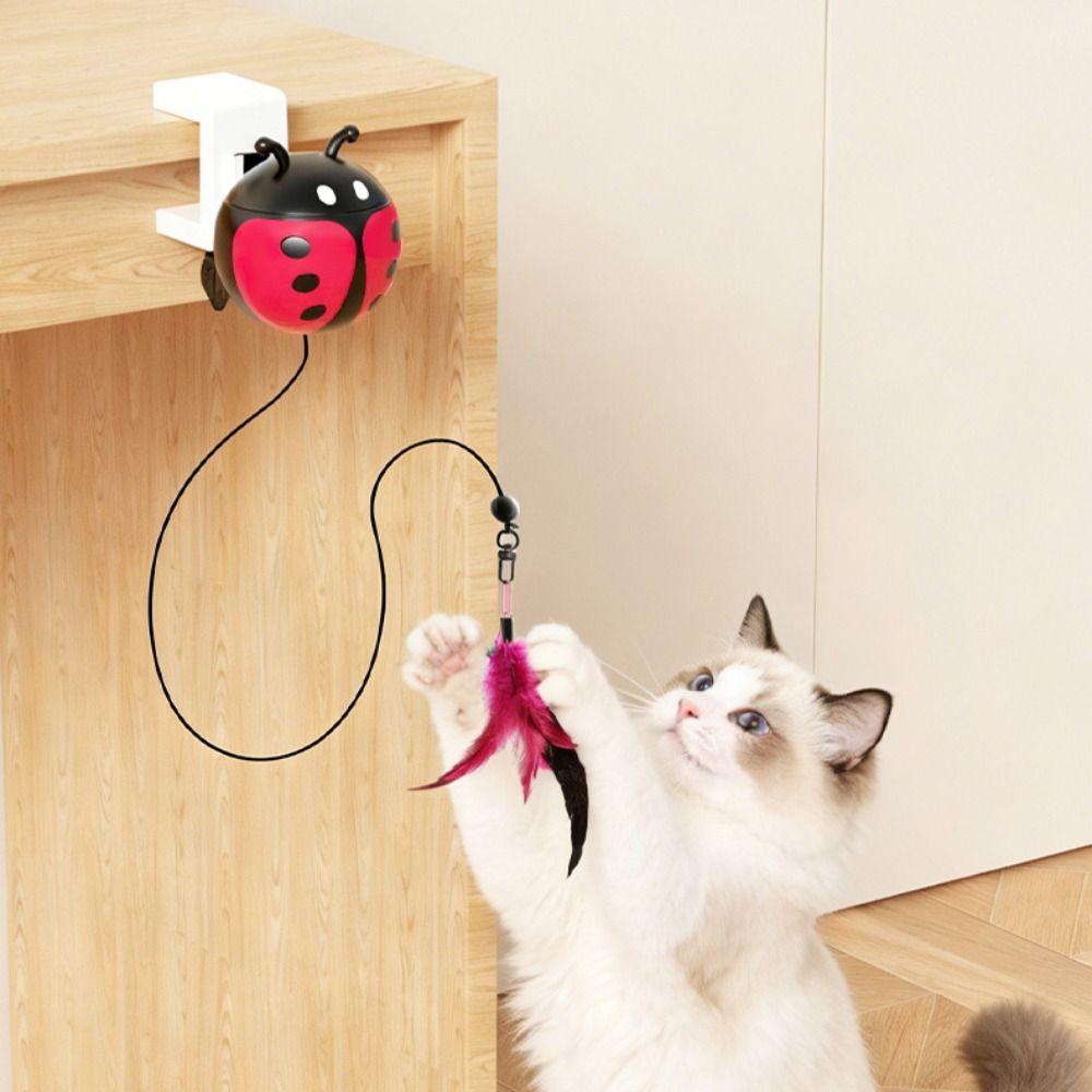 Retractable Kitten Teasing Toy Ladybug Interactive Cat Toy Indoor Playing