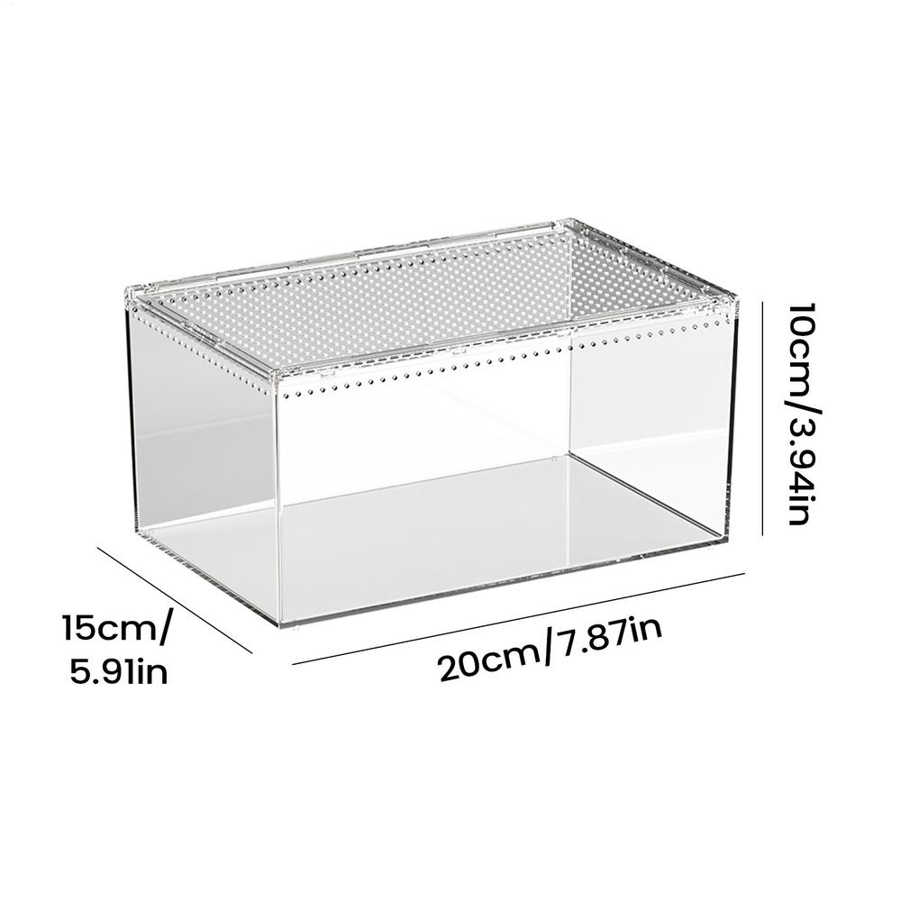 Spider Enclosure Transparent Reptile Terrarium Tank Habitat With Ventilation For Tarantula Gecko Snake Frog Scorpion Lizard