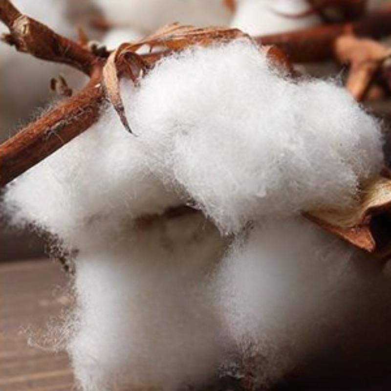 100% хлопок, футболка с короткими рукавами, мужская летняя свободная рубашка в стиле Hundred Trend Ins, пуловер с круглым вырезом, дышащие, впитывающие пот, удобные топы