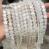 Natural White Mother-of-Pearl Starfish Beads (10/12mm) for DIY Jewelry Accessories