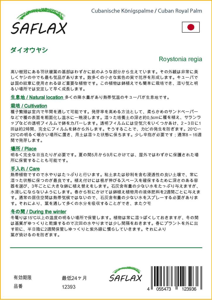 SAFLAX Cuban Royal Palm - 8 семян - С горшечным субстратом для лучшего выращивания - Roystonia regia