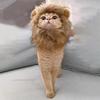 Cat Cosplay Dress Up Pet Hat Cute Lion Mane for Cat Puppy Lion Wig Costume Party Decoration Halloween Christmas Gatos Costume Cosplay Toy Pet Supplies