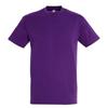 Unisex Adult Regent T-Shirt