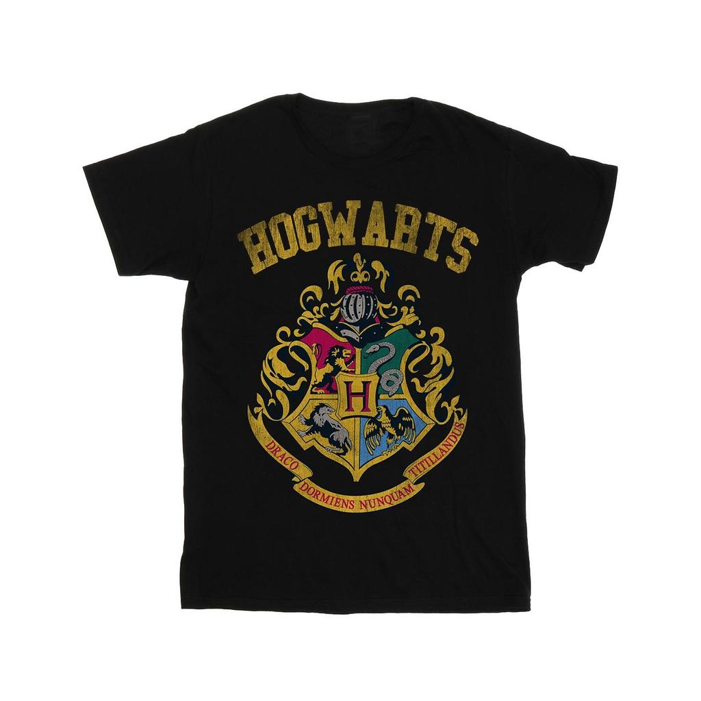 HARRY POTTER Мужская футболка Hogwarts Varsity