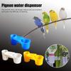 Pigeon Water Feeder Large Capacity Double Mouth Water Guide Dispenser Hanging Plastic Thickened Sink Kettle Bird Accessories