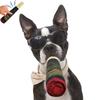 Lifelike Green Cigar Dog Toy Crafted From Premium Plush For Happy Pets