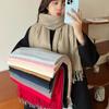 Extended Solid Color Versatile Imitation Cashmere Scarf Women's Autumn and Winter Tassel Scarf