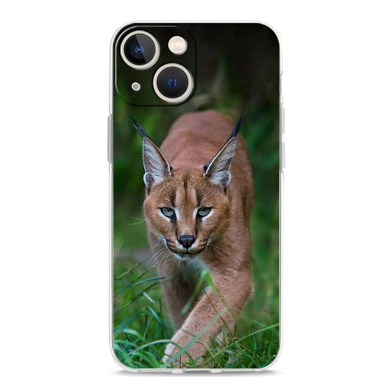 Чехол для телефона iPhone 17 Air Cases iPhone 16 15 12 13 14 Pro Max SE 7 8 Plus iPhone11 Прозрачный чехол Африканская рысь Каракал
