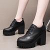 New Women Pumps Shoes Size 32-43 Deep Mouth Women Oxfords Fall Winter Plush Thick High Heel Shoes Platform Pumps Office