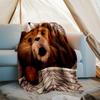 Cartoon Teddy bear Ted1 printed throw blanket—lightweight,soft,warm;versatile blanket for all seasons—perfect as &air-conditioning throw,nap blanket