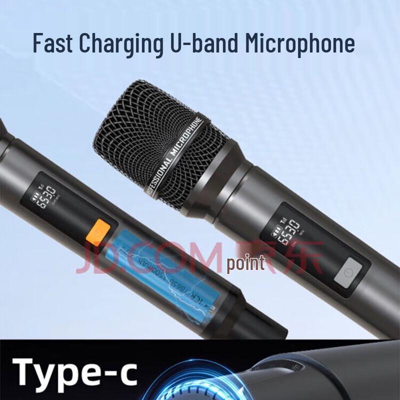 Shanshui C6plus Portable KTV Entertainment Speaker CN plug (adapter included) (CN version)