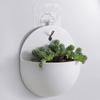 Modern Indoor & Outdoor Round Wall Planters Plastic Bonsai Wall-Hanging Flower Pots, Plant Stand Wall-Mounted Plant Holders