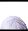 CaseEden Cosplay Wig, Short Bob, 30cm, Heat-Resistant, Purple-Silver, with Two Wig Nets