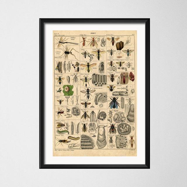 Винтажный стиль плакаты бабочка насекомое холст картины постеры и принты настенная художественная картина для гостиной домашний декор Cuadros