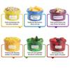 Control Storage Organizer Eating Plan Lose Weight Portion Control Food Container Meal Measure Dish