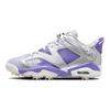 Jordan 6 Retro Low Golf Открытый чемпионат США 2023 Jordan FD0205-055