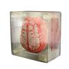10PCS Coasters Organ Brain Specimen Table Coaster Easy To Clean Lightweight Cup Mat Family Bar Room Office Cups