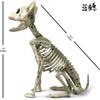 Halloween Skeleton Cat Prop 21.5cm Scary Yard