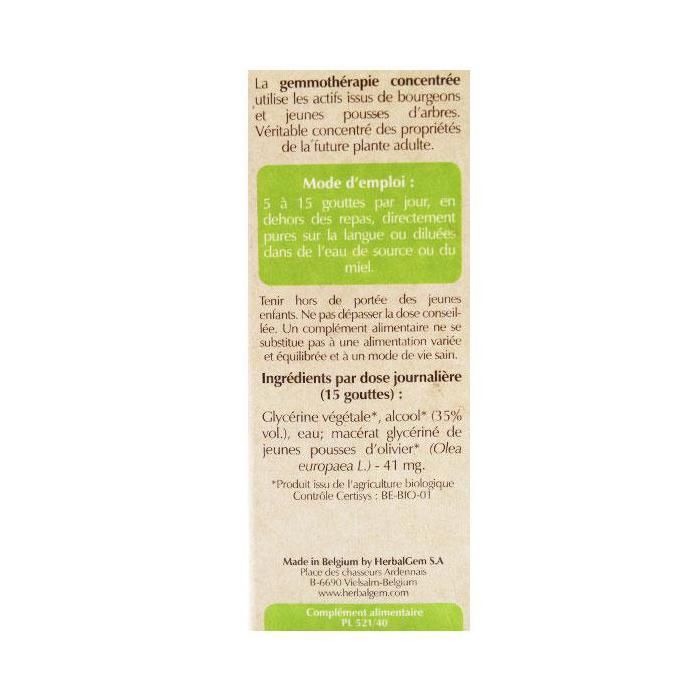 Herbalgem Macérat Concentré Olivier Bio 30ml