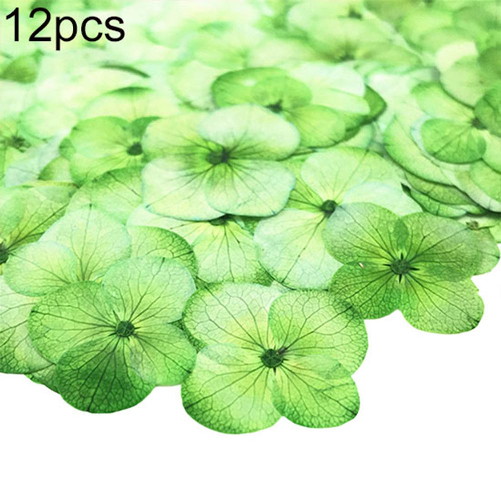 Yousheng Dried Flower 12Pcs Pressed Plant Specimen Epoxy Resin Phone Decor DIY Accessory