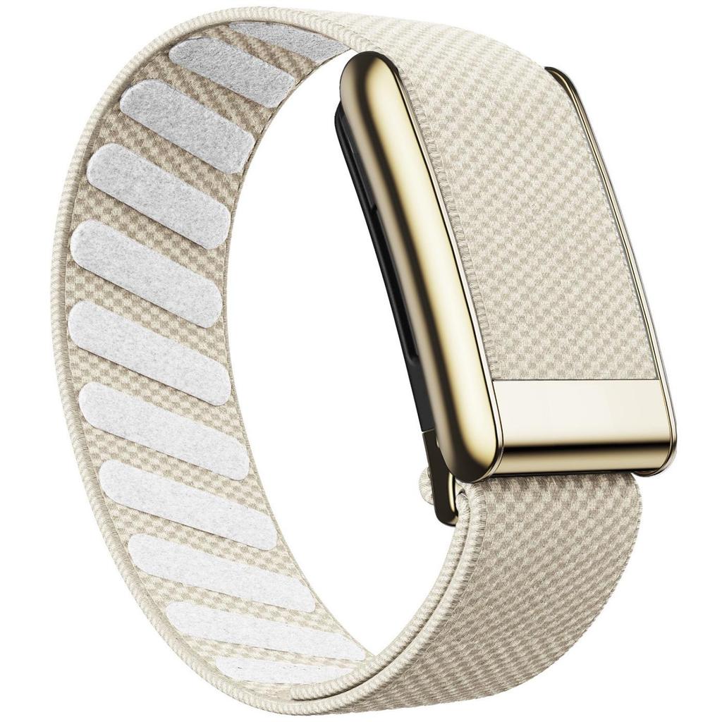 Whoop 5.0 Nylon Elastic Sport Band with Shiny Metal Frame (Gold/Silver)