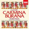 CD PREVIN (ANDRE) - Orff: Carmina Burana TOCE14307 Japan ObiMusic Others Used