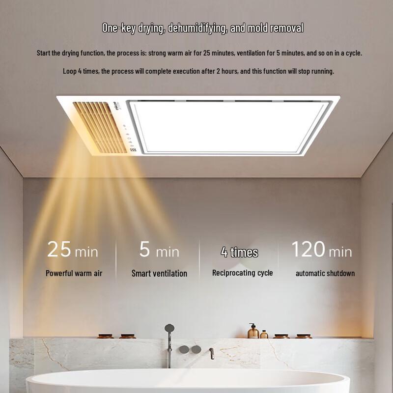 MICOE Graphene Ceiling Mount Bathroom Heater
