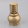 Anti Backflow Bottom Valve Strong Metal Water Pump Valve Check Valve  Complete Specifications